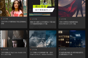 抖音剪映LUT 达芬奇LUT文件包 去哪里免费下载？分享一个网站